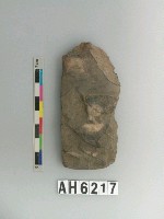 藏品(磨製有段石錛)的圖片